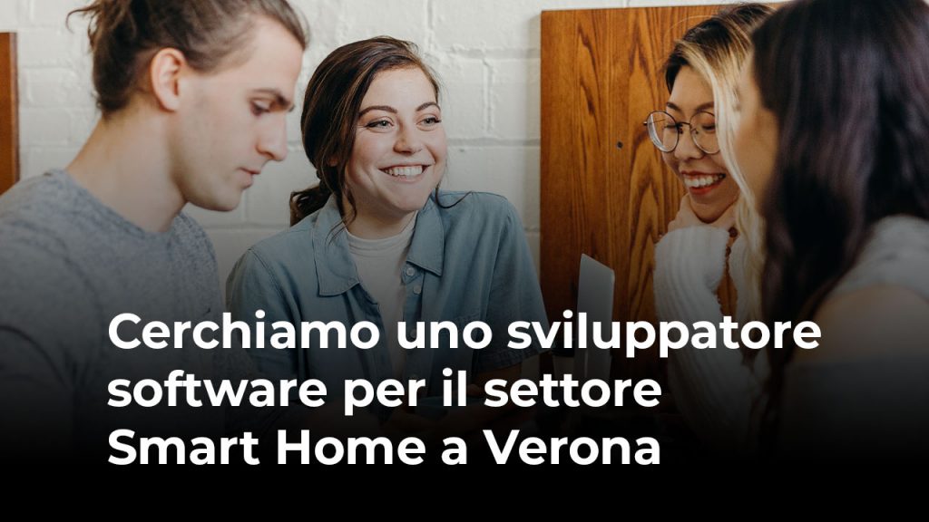 sviluppatore software