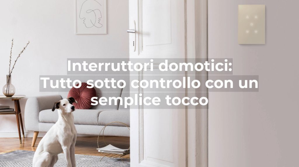 stanza con interruttore domotico e cane